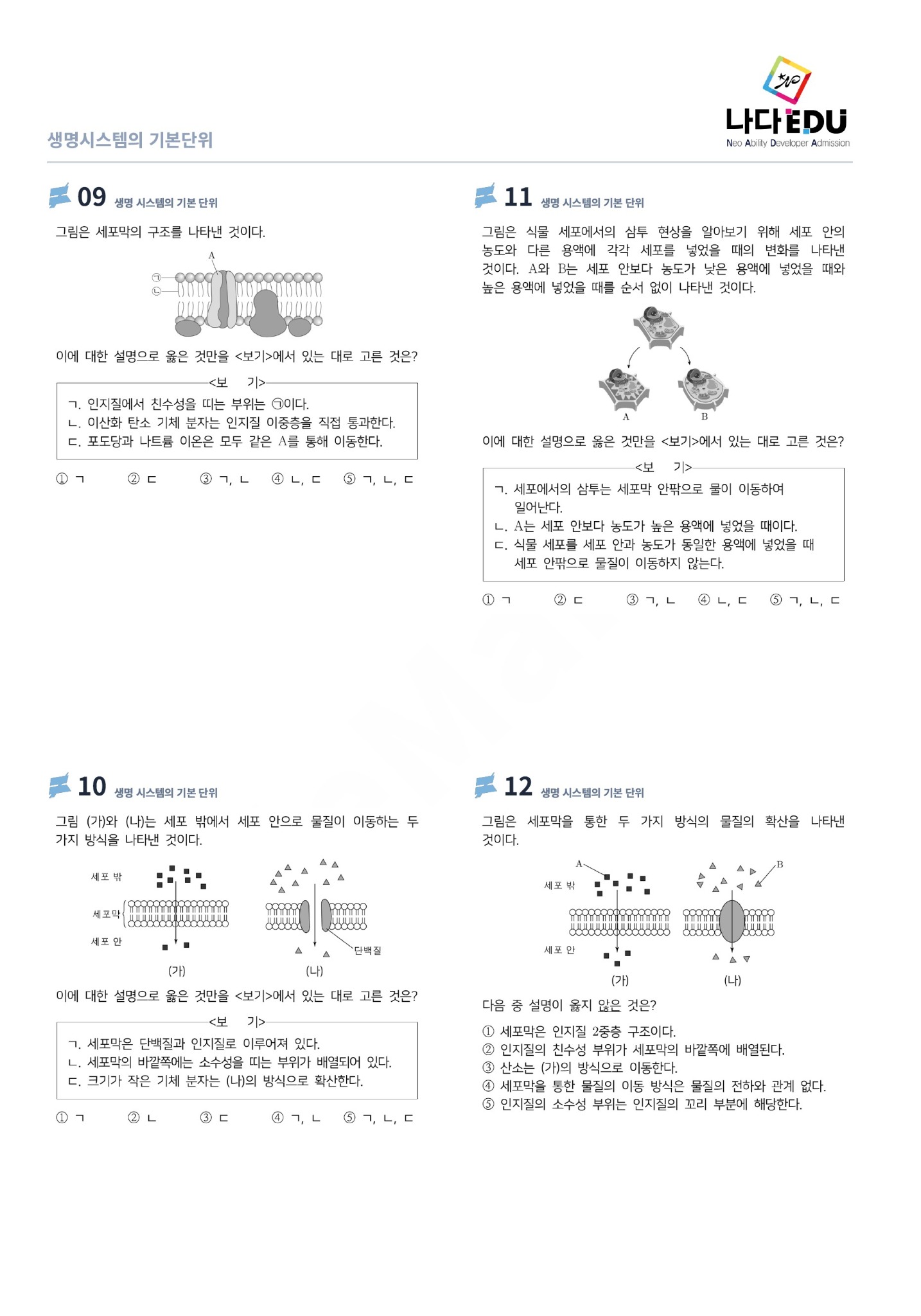 실제 내신 대비 문제 자료